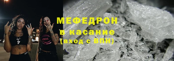 мдпв Гусев