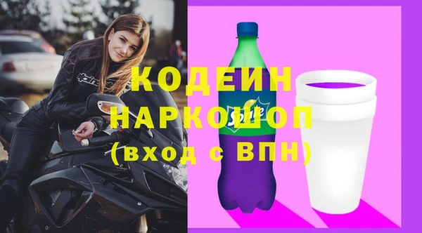 мдпв Гусев