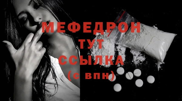 мдпв Гусев