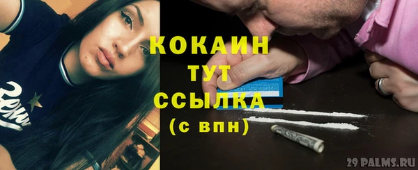 мдпв Гусев