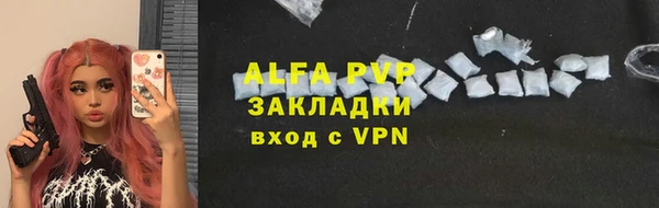 мдпв Гусев