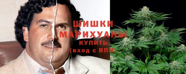 мдпв Гусев