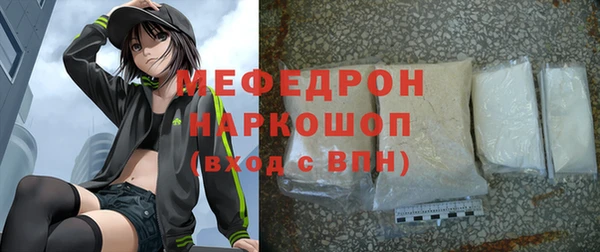 мдпв Гусев
