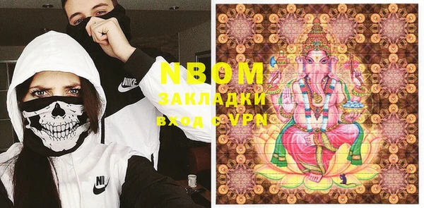 мдпв Гусев