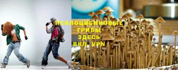 таблы Гусь-Хрустальный