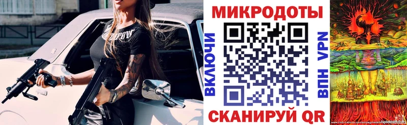 Псилоцибиновые грибы Psilocybine cubensis  Гусиноозёрск 